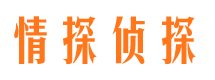 临高市场调查